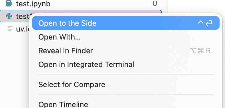 Run Python File in Terminal