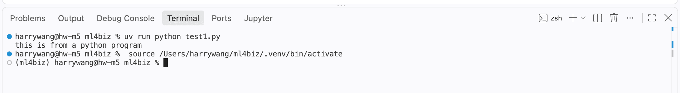 VS Code integrated terminal