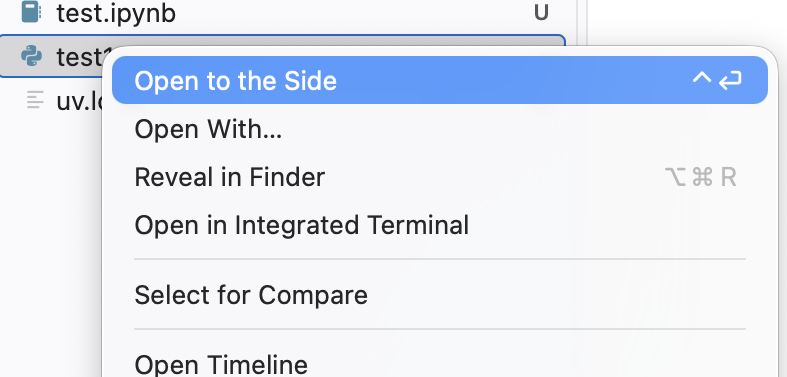 Run Python File in Terminal