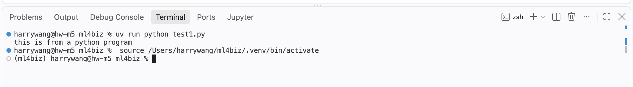 VS Code integrated terminal